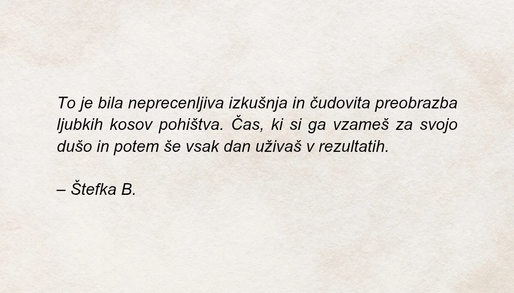 mnenje-Štefka